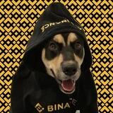 BNBDOG Official