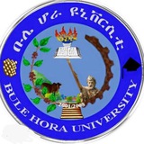 BULE HORRA UNIVERSITY