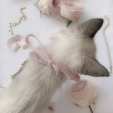 baby ‘s *kissable* ﾉ … princess’ is cherry lips—like ♥ (wittlebbaby!)