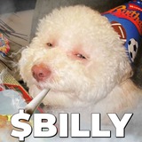 Billy