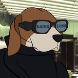 Juno The Prada Dog