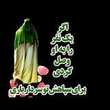 تفسیر قران قرائتی