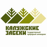 Kaluzhskie_zaseki