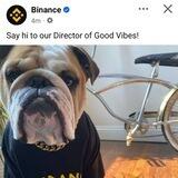 BINANCE DIRECTOR