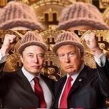 ElonWifTrump