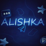 Alishka auctions 📊
