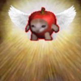 apple cat entry 🍎 🐱