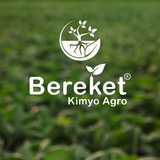 “Bereket Kimyo Agro”