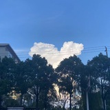 教程频道