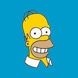 HOMER COIN