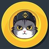 BNBCAT Official