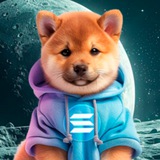 $DogInu Channel