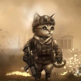 Зафронтовые котики