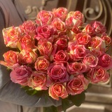 MORION.ROSES