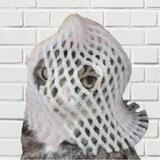 wrapped cat (wCAT)