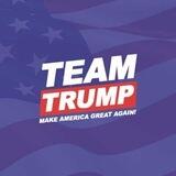 $TEAM Trump CTO