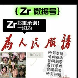 Zr数据号