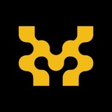 Movement Labs 한국 커뮤니티