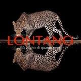 Lontano FeedBacks