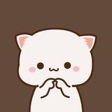 Mochi Cat Global