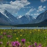 🌱Разнотравье Горного Алтая🌱
