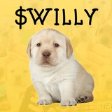 $Willy on Solana - official