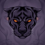 JAGUAR PORTAL