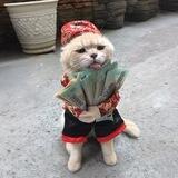Buy this Cat $BTC