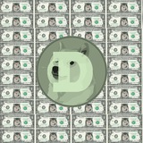 DOGE DIVIDENDS