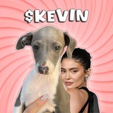 Kevin