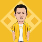 CZ BSC