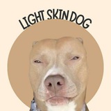 LIGHTSKINDOG