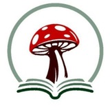 Amanita Muscaria Institut 🍄