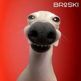 BROSKI