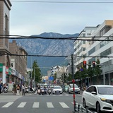 雅虎