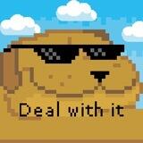 Deal with it 0x77 by 𝓜𝓪𝓽𝓽 𝓕𝓾𝓻𝓲𝓮 CTO ~ Portal