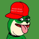 PENE PORTAL