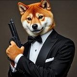 AGENT AIDOGE