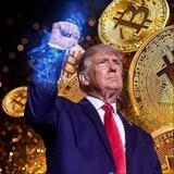 Crypto president/ CTO