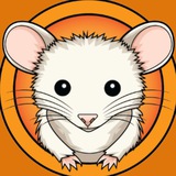 FOX | Matt Furie's pet rat | Portal