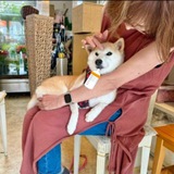 Baby Neiro Doge