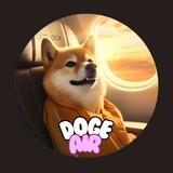 #DogeAir - The Offical Doge Jet