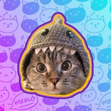 Nala The Cat - $NALA Portal Entry