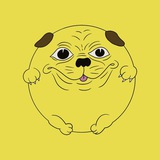 $BEPPY The Doge