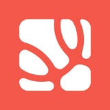 Nubit Community