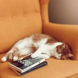 lı ڪـتـــ📖ـــاب بــاز ıl