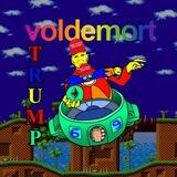 VoldemortDonaldTrumpEggman69Inu $MAGA Portal