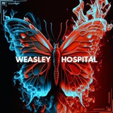 BLACKLIST WEASLEY HOSPITAL