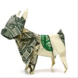 $Bill CTO