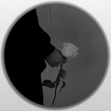 Rose | poetry